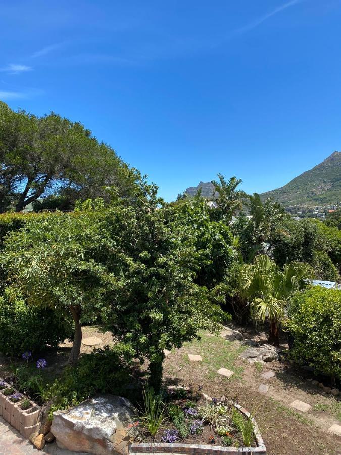 Cosy And Unique Family Retreat In Hout Bay Villa Cape Town Bagian luar foto